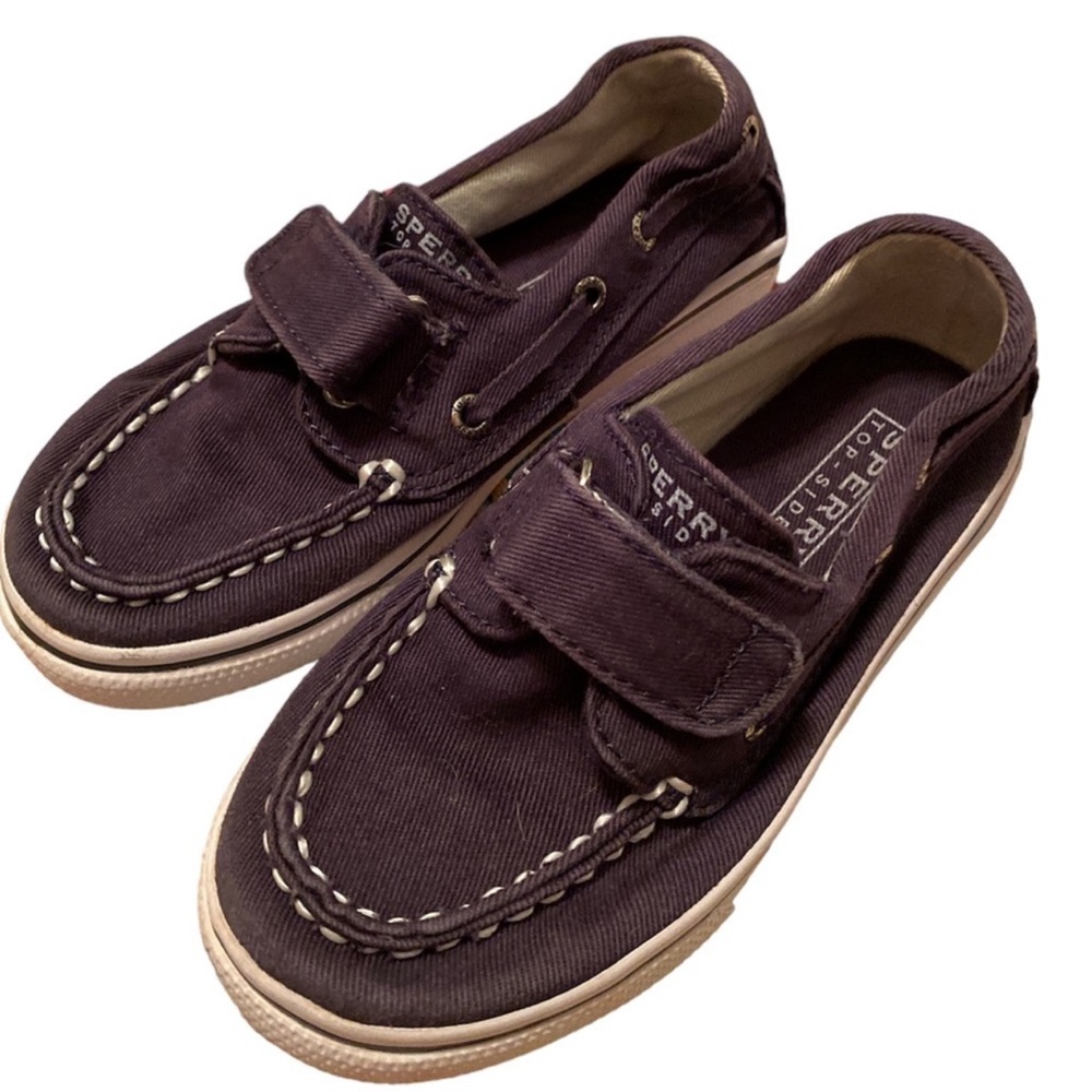 Sperry Men's Dark Purple Boat Shoes